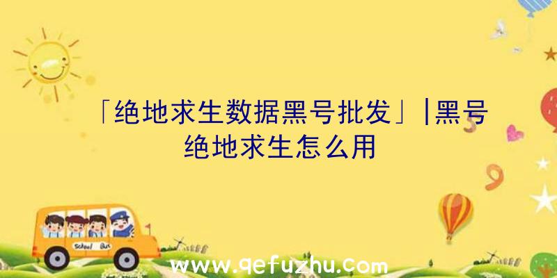 「绝地求生数据黑号批发」|黑号绝地求生怎么用